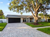 Charming single story home with a large shade tree, brick driveway and nicely landscaped front yard at 3925 Dunaire Dr, Valrico, FL 33596