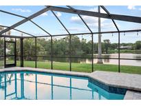A screened-in pool area with a beautiful view of the adjacent lake at 3925 Dunaire Dr, Valrico, FL 33596