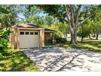 Charming single-story home with a large tree providing shade over the driveway and front yard at 4419 Longshore Dr, Land O Lakes, FL 34639