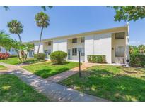 Inviting exterior with well-maintained landscaping and a charming walkway to the front door at 4517 La Capri Ct, Tampa, FL 33611