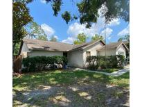 Traditional home showing the front facade, lawn, bushes, and walkway on a sunny day at 13603 Red Birch Pl, Tampa, FL 33625