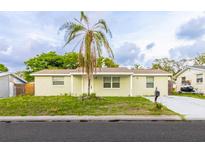 Charming single-story home featuring a well-kept lawn, a mature palm tree, and a private driveway at 9020 Gray Fox Ln, Port Richey, FL 34668
