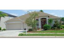 Charming single-story home with a well-manicured lawn, two-car garage, and inviting front entrance at 16515 Nikki Ln, Odessa, FL 33556