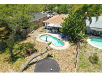 Aerial view of a backyard with a kidney-shaped pool, patio, and trampoline at 3139 W Varn Ave, Tampa, FL 33611