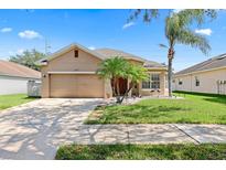 Charming single-story home with a well-manicured lawn and mature landscaping at 10536 Shady Preserve Dr, Riverview, FL 33579