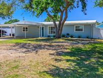 Single-story home featuring a carport, a tree in the front yard, and a blue exterior at 489 Fox Run Trl, Apollo Beach, FL 33572