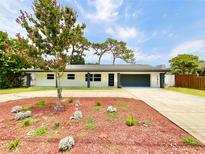 Charming single-story home with a well-manicured front yard and a spacious driveway at 1290 Michigan Blvd, Dunedin, FL 34698