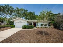 Charming single-story home with a well-manicured lawn and a neatly paved driveway at 1648 Concord St, Dunedin, FL 34698