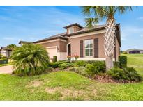 Attractive home exterior with lush landscaping, featuring a palm tree and well-kept lawn at 19652 Ship Wheel Way, Land O Lakes, FL 34638