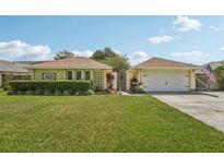 Charming yellow home with a well-manicured lawn and beautiful landscaping at 15005 Roundup Dr, Tampa, FL 33624