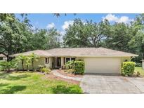 Charming single-story home with a well-maintained lawn, mature trees, and a two-car garage at 2911 Pemberton Creek Dr, Seffner, FL 33584