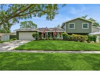 Charming two-story home with lush green lawn and well-maintained landscaping at 4204 Northwind Ln, Tampa, FL 33624