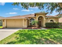 Charming tan home with a two-car garage, well-manicured lawn, and a front yard featuring lovely palm trees at 4418 River Overlook Dr, Valrico, FL 33596