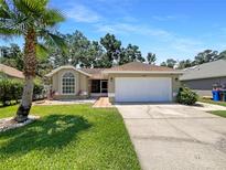 Charming single-story home with a well-manicured lawn and a palm tree in the front yard at 8812 Bayaud Dr, Tampa, FL 33626