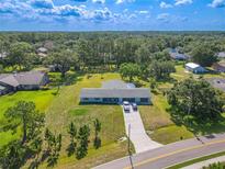 Expansive aerial view of property with mature trees, lush green lawn, and a long driveway leading to the house at 12220 Twin Branch Acres Rd, Tampa, FL 33626