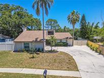 Charming home featuring well-manicured landscaping, palm trees, and a long driveway at 3968 Orchard Hill Cir, Palm Harbor, FL 34684