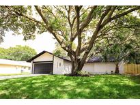 Charming home with a well-maintained lawn and a large, mature tree providing ample shade at 4260 Saint Lawrence Dr, New Port Richey, FL 34655