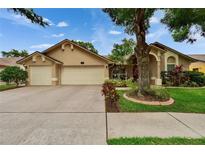 Charming single-story home with a well-manicured lawn, mature tree, and a three-car garage at 905 Balsamina Dr, Brandon, FL 33510