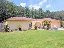 Charming single-story home with a lush green lawn, mature landscaping, and an inviting facade at 7535 Cypress Knoll Dr, New Port Richey, FL 34653