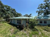 Overgrown exterior featuring a light blue home with a weathered green roof and yellow shuttered windows at 2402 E 148Th Ave, Lutz, FL 33549