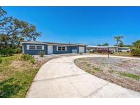 Charming single-story home with well-maintained landscaping and a long driveway leading to the front door at 315 Dorchester Dr, Venice, FL 34293