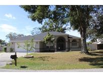 Well maintained single story home with an attached two car garage and mature landscaping at 4657 Parkway Blvd, Land O Lakes, FL 34639