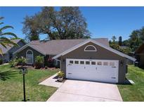 Charming single-story home featuring a well-manicured lawn and a two-car garage at 1445 Stonehenge Way, Palm Harbor, FL 34683