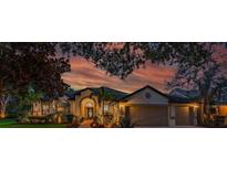 Inviting single-story home featuring manicured landscaping, a circular driveway, and a warm sunset backdrop at 15934 Sorawater Dr, Lithia, FL 33547