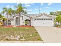 Charming single-story home with a two-car garage, well-manicured lawn, and beautiful palm trees at 10538 Juliano Dr, Riverview, FL 33569