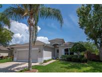 Charming single-Gathering home with manicured lawn, palm tree, and attached two-car garage at 14711 Potterton Cir, Hudson, FL 34667