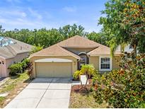 Charming single-story home features a well-manicured lawn, lovely landscaping, and an attached two-car garage at 1611 Cresson Ridge Ln, Brandon, FL 33510