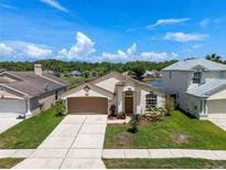 Charming single-story home with landscaped front yard and attached two-car garage at 10205 Charleston Corner Rd, Tampa, FL 33635