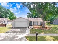 Charming single-story home with a well-maintained lawn, mature tree, and an attached two-car garage at 12910 Leadwood Dr, Riverview, FL 33579