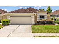 Charming single-story home with a two-car garage, well-maintained lawn, and manicured landscaping at 26338 Whirlaway Ter, Wesley Chapel, FL 33544