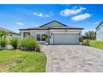 Charming single-story home with a well-manicured lawn and a brick-paved driveway at 30801 Parrot Reef Ct, Wesley Chapel, FL 33545