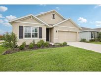 Charming single-story home featuring a well-manicured lawn, neutral stucco, and a two-car garage at 10233 Opaline Sky Pl, Riverview, FL 33578