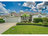 Charming single-story home features a lush lawn and well-manicured landscaping at 2146 Gold Dust Ct, Trinity, FL 34655