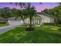 Charming single-story home with well-manicured lawn and lush palm trees and a vibrant blue front door at 4797 Stonebriar Dr, Oldsmar, FL 34677