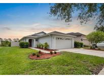 Charming single-story home featuring a two-car garage, well-manicured lawn, and a welcoming front entrance at 816 College Chase Dr, Ruskin, FL 33570