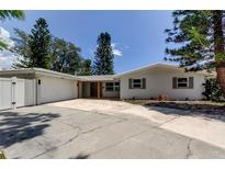 Charming single-story home with a wide driveway, lush trees, and welcoming curb appeal at 10744 Drummond Rd, Tampa, FL 33615