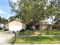 Charming single-story home with a lush, mature tree in the front yard, and a 2-car garage at 1228 Rainbrook Cir, Valrico, FL 33596