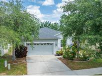 Charming single-story home featuring a two-car garage, well-maintained landscaping, and a welcoming entrance at 13803 Chalk Hill Pl, Riverview, FL 33579