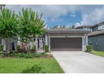 Charming single-Gathering home featuring a well-manicured lawn and a two-car garage at 212 Villa Luna Ln, Lutz, FL 33549