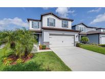 Charming two-story home with a two-car garage, light gray siding, and a beautifully landscaped front yard at 6563 Ryestone Way, Wesley Chapel, FL 33545