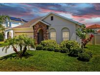 Charming single-story home boasts stone accents, arched entryway, and lush green lawn with mature tropical landscaping at 11623 Tetrafin Dr, Riverview, FL 33579
