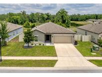 Charming single-story home with a well-maintained lawn and two-car garage at 12170 Gothic Rd, Spring Hill, FL 34610