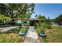 Charming home featuring a welcoming front yard with mature landscaping and a paved walkway at 6618 N 11Th St, Tampa, FL 33604