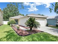 Charming single-story home boasts a well-manicured lawn and inviting curb appeal at 11728 Crest Creek Dr, Riverview, FL 33569