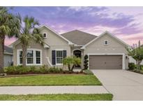 Beautiful single-story home featuring manicured lawn, attached two-car garage, and lush, tropical landscaping at 1767 Tonka Ter, Wesley Chapel, FL 33543