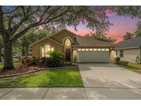 Charming single-story home with a well-maintained lawn and a two-car garage in a nice neighborhood at 18967 Wood Sage Dr, Tampa, FL 33647